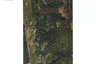 39935 Layng Creek Rd, Dorena, OR 97434 - Photo 11