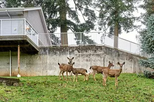 301 Edgewood Dr, Silverton, OR 97381 - Photo 3