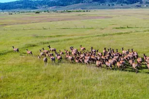 45371 Hackmore Dr Site 7, Seneca, OR 97873 - Photo 39