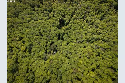 25380 Wilson River Hwy, Tillamook, OR 97141 - Photo 39