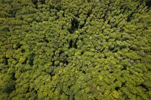 25380 Wilson River Hwy, Tillamook, OR 97141 - Photo 39