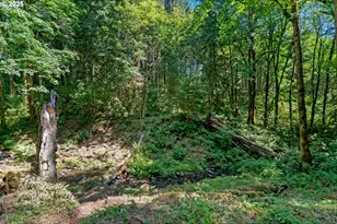 40811 NW Linklater Rd, North Plains, OR 97133 - Photo 43