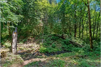 40811 NW Linklater Rd, North Plains, OR 97133 - Photo 41