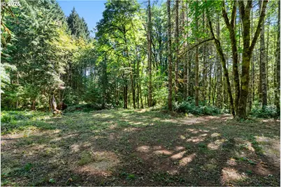 40811 NW Linklater Rd, North Plains, OR 97133 - Photo 43