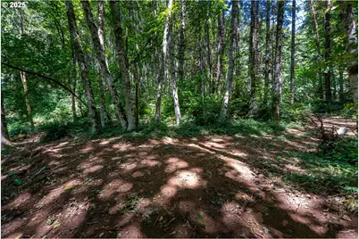 40811 NW Linklater Rd, North Plains, OR 97133 - Photo 41