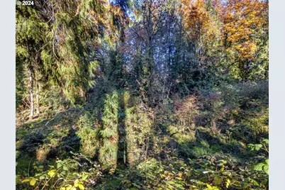 3893 Cedaroak Dr, West Linn, OR 97068 - Photo 45