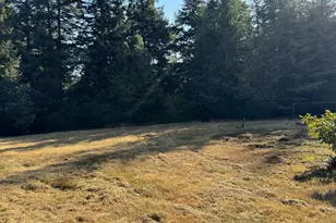 55985 Fishtale Rd, Bandon, OR 97411 - Photo 7