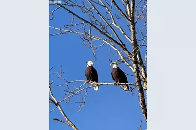 2158 S River Rd, Kelso, WA 98626 - Photo 25