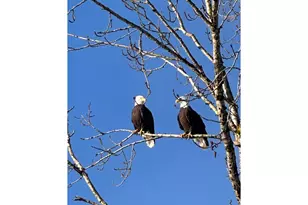 2158 S River Rd, Kelso, WA 98626 - Photo 25