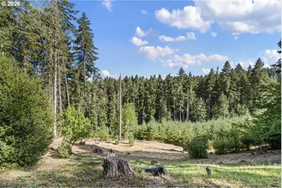 31034 Gowdyville Rd, Cottage Grove, OR 97424 - Photo 39