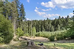 31034 Gowdyville Rd, Cottage Grove, OR 97424 - Photo 39