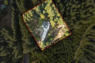 31034 Gowdyville Rd, Cottage Grove, OR 97424 - Photo 43