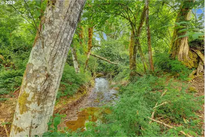 47266 SW Carpenter Creek Rd, Forest Grove, OR 97116 - Photo 31