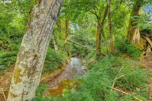 47266 SW Carpenter Creek Rd, Forest Grove, OR 97116 - Photo 31