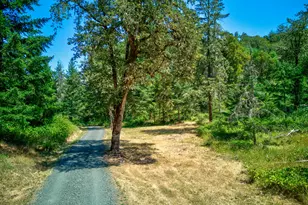 1435 Wilbur Rd, Roseburg, OR 97471 - Photo 41