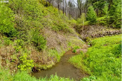 49985 McKenzie Hwy, Vida, OR 97488 - Photo 41