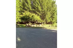 258 Bear Meadows Pl, Ariel, WA 98603 - Photo 11