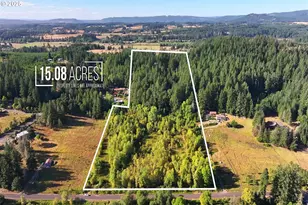 41294 Keel Mountain N Dr, Lebanon, OR 97355 - Photo 47