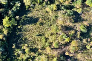 41294 Keel Mountain N Dr, Lebanon, OR 97355 - Photo 39