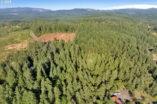 41294 Keel Mountain N Dr, Lebanon, OR 97355 - Photo 45