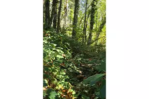 12181 NE Washougal River Rd, Washougal, WA 98671 - Photo 9