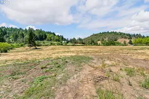 596 Raleigh Dr, Winston, OR 97496 - Photo 17