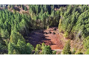 0 NW Green Mountain Rd, Banks, OR 97106 - Photo 27