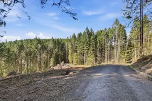 0 NW Green Mountain Rd, Banks, OR 97106 - Photo 31