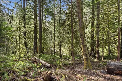 0 NW Green Mountain Rd., Banks, OR 97106 - Photo 19