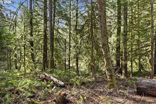 0 NW Green Mountain Rd, Banks, OR 97106 - Photo 19