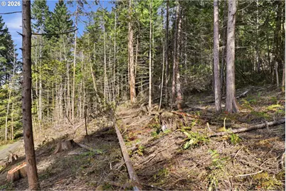 0 NW Green Mountain Rd., Banks, OR 97106 - Photo 33