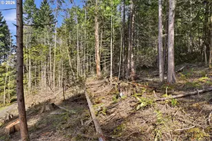 0 NW Green Mountain Rd, Banks, OR 97106 - Photo 33