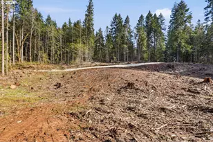 0 NW Green Mountain Rd, Banks, OR 97106 - Photo 17