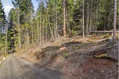 0 NW Green Mountain Rd., Banks, OR 97106 - Photo 33