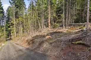 0 NW Green Mountain Rd, Banks, OR 97106 - Photo 33