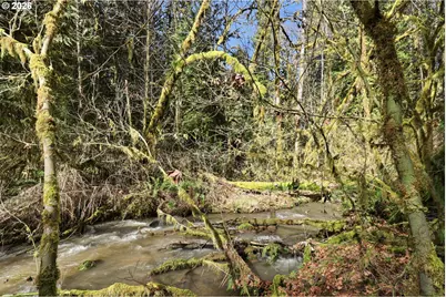 0 NW Green Mountain Rd., Banks, OR 97106 - Photo 21