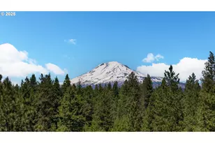 26 Mountain View Ln, Trout Lake, WA 98650 - Photo 5