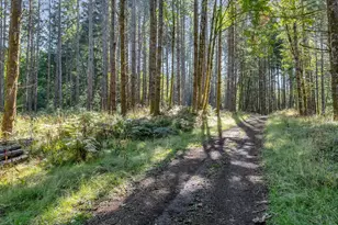 21000 NE Strawberry Flats Ln, Scotts Mills, OR 97375 - Photo 27