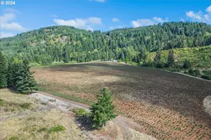 21000 NE Strawberry Flats Ln, Scotts Mills, OR 97375 - Photo 19