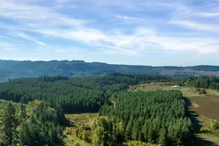 21000 NE Strawberry Flats Ln, Scotts Mills, OR 97375 - Photo 31