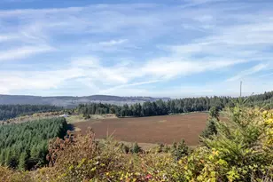 21000 NE Strawberry Flats Ln, Scotts Mills, OR 97375 - Photo 23