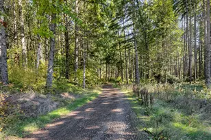 21000 NE Strawberry Flats Ln, Scotts Mills, OR 97375 - Photo 21