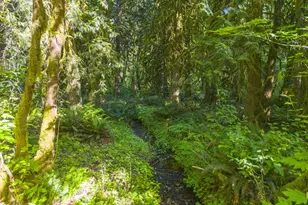 29990 SE Knox Rd, Boring, OR 97009 - Photo 25