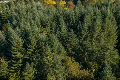 4204 Riverdale Rd S, Salem, OR 97302 - Photo 37