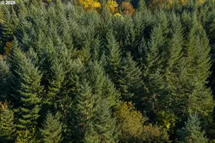 4204 Riverdale Rd S, Salem, OR 97302 - Photo 37