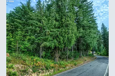 Bear Creek Rd, Carson, WA 98610 - Photo 5