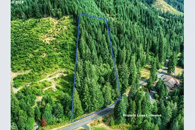 Bear Creek Rd, Carson, WA 98610 - Photo 1