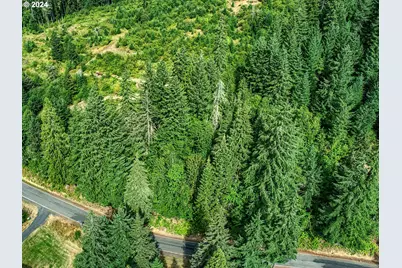 Bear Creek Rd, Carson, WA 98610 - Photo 3
