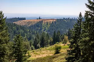 0 NE Old Parrett Mountain Rd, Newberg, OR 97132 - Photo 33