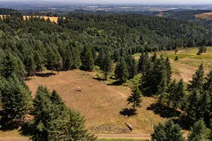 0 NE Old Parrett Mountain Rd, Newberg, OR 97132 - Photo 39